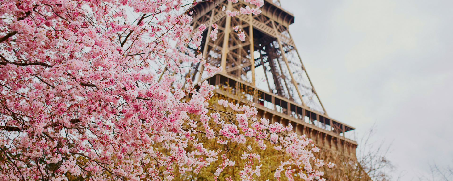 paris in the spring