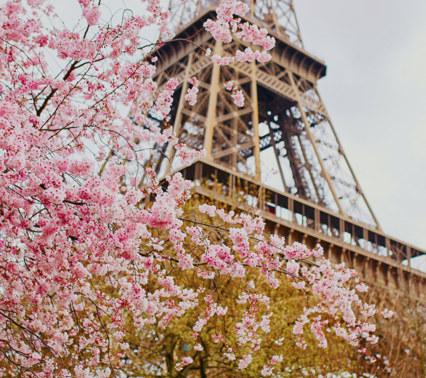 paris in the spring