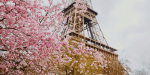 paris in the spring