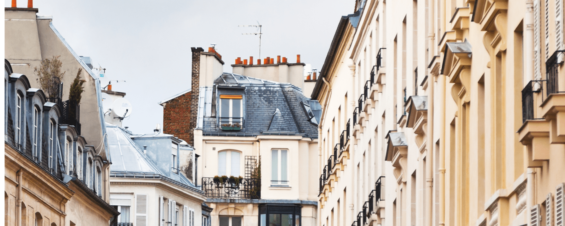 Felt French
